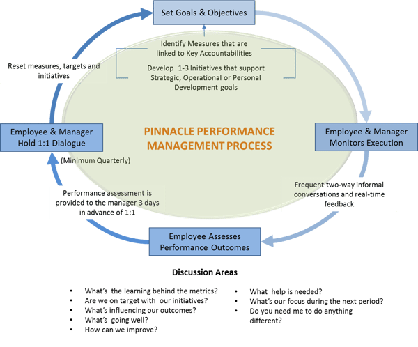 performance management process